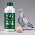 Concentrato di calcio nano per piccioni