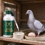 Concentrato di calcio nano per piccioni