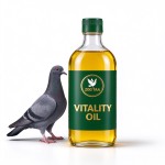 Pigeon Vitality Oil Blend
