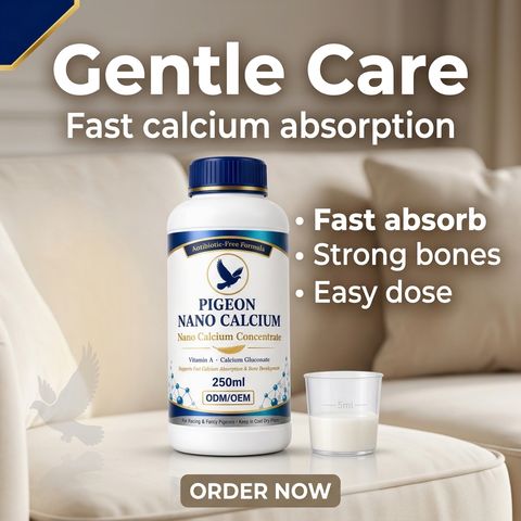 Pigeon Nano Calcium Concentrate